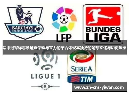法甲冠军标志象征着荣耀与实力的结合体现其独特的足球文化与历史传承