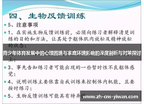 青少年体育发展中的心理困境与家庭环境影响的深度剖析与对策探讨 青少年体育发展中的心理困境与家庭环境影响的深度剖析与对策探讨