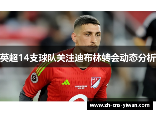 英超14支球队关注迪布林转会动态分析