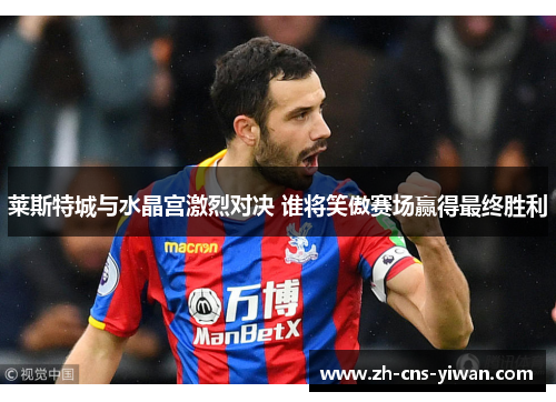 莱斯特城与水晶宫激烈对决 谁将笑傲赛场赢得最终胜利