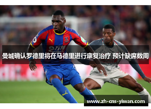 曼城确认罗德里将在马德里进行康复治疗 预计缺席数周 曼城确认罗德里将在马德里进行康复治疗 预计缺席数周